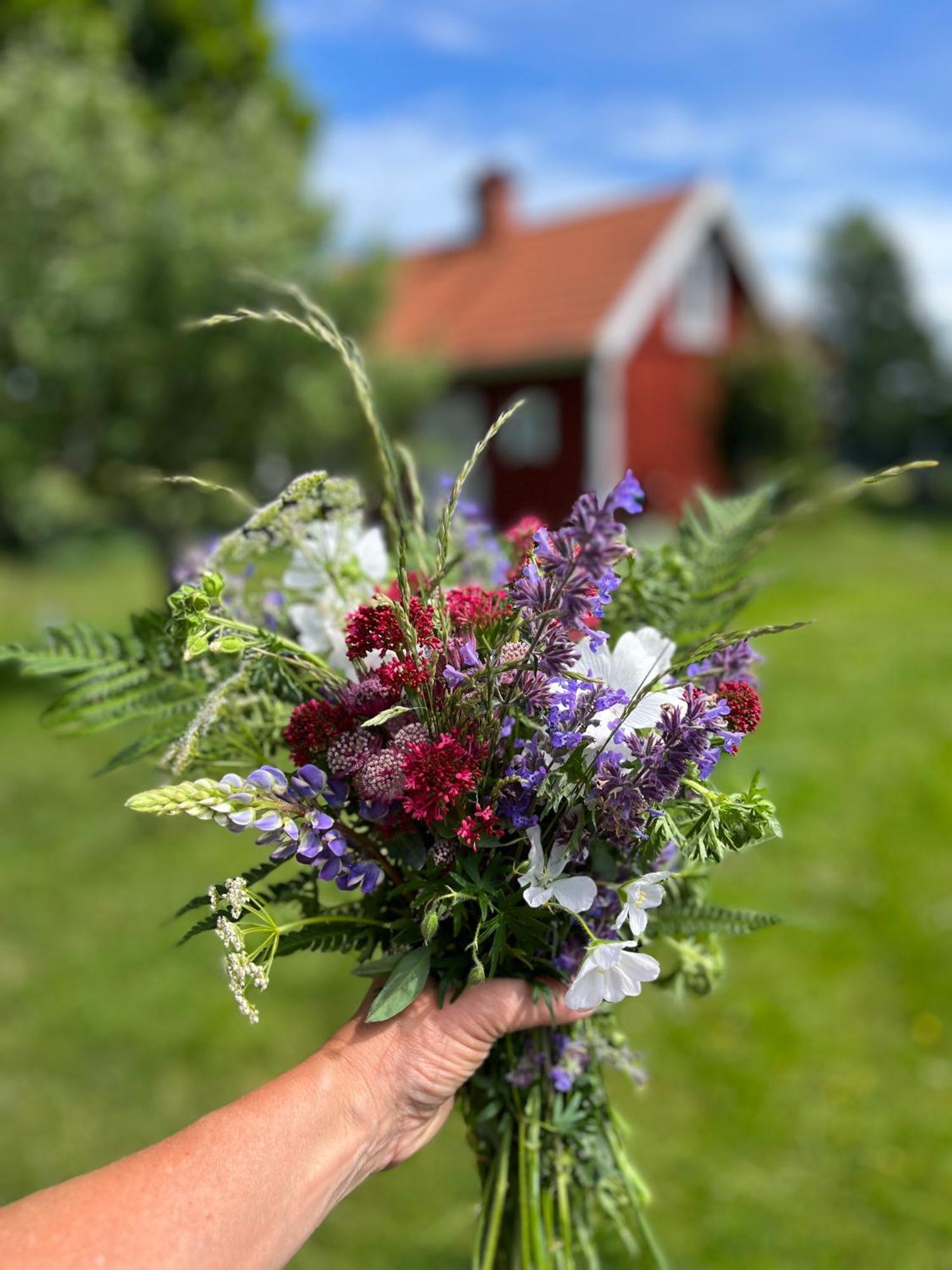 Lavendeltorpet Bed & Breakfast Haggum Eksteriør bilde