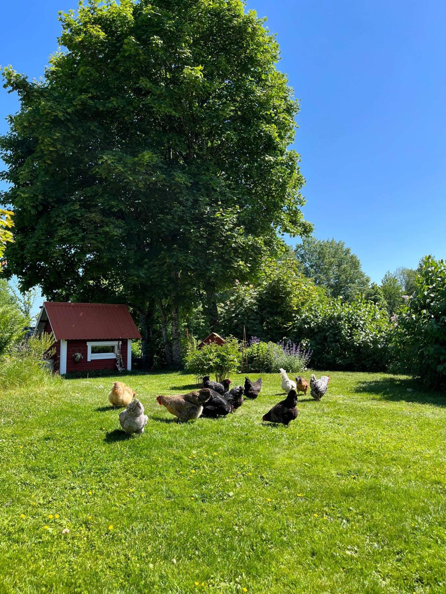 Lavendeltorpet Bed & Breakfast Haggum Eksteriør bilde